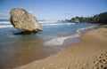 Bathsheba Barbados Royalty Free Stock Photo