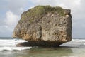 Bathsheba Beach rock close up - Barbados