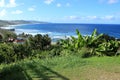 Bathsheba coastline in Barbados