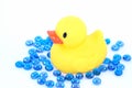 Bathtime duckie Royalty Free Stock Photo