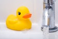 Bathtime fun Royalty Free Stock Photo