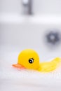 Bathtime fun Royalty Free Stock Photo