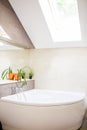 Bathtub in master bathroom in new luxury home Royalty Free Stock Photo