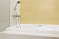 Bathtub shower Royalty Free Stock Photo