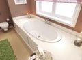 Bathtubs classic style Royalty Free Stock Photo