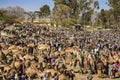 Bati market, Ethiopia Royalty Free Stock Photo