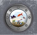 Batiskaf window aquarium Royalty Free Stock Photo