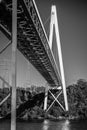 Batman Bridge by the Tamar river near Sidmouth. Royalty Free Stock Photo