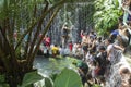 People bathe in cold and clean rocky mountain spring water river Royalty Free Stock Photo