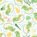 Batomorphi sea life, fish, animals bright seamless pattern. sea travel, snorkeling with animals, tropical fish