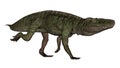 Batrachotomus dinosaur running -3D render