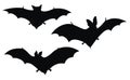 Bats