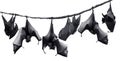 Bats Royalty Free Stock Photo