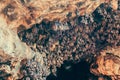 Bats in a cave, in Bali Royalty Free Stock Photo