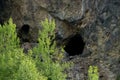 Bats cave