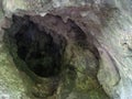 Bats Cave in Moeciu, Romania Royalty Free Stock Photo