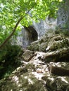 Bats Cave in Moeciu, Romania Royalty Free Stock Photo