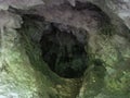 Bats Cave in Moeciu, Romania