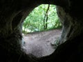 Bats Cave in Moeciu, Romania