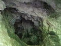 Bats Cave in Moeciu, Romania