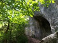 Bats Cave in Moeciu, Romania