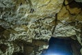 Bats on the ceiling of the mine Royalty Free Stock Photo