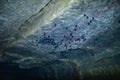 Bats on the ceiling of the mine Royalty Free Stock Photo