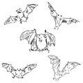 Bats in different positions. Pencil sketch by hand