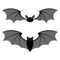 Bats different types on a white background