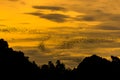 The bats fly out in the evening. Royalty Free Stock Photo