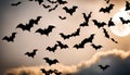 Bats Flying in Front of the Moon Royalty Free Stock Photo