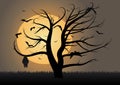 Bats flying and hanging in a tree silhouette Royalty Free Stock Photo