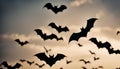 Bats Flying at Sunset Royalty Free Stock Photo