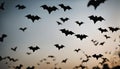 Bats Flying in the Twilight Sky Royalty Free Stock Photo