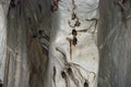 Bats hanging from the ceiling in the Puerto Princesa Subterranean River in Palawan