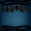 Bats hanging