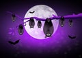 Bats hanging Royalty Free Stock Photo