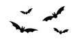 Bats icon set. Bat black silhouette with wings isolated white background. Symbol Halloween holiday, mystery cartoon dark Royalty Free Stock Photo