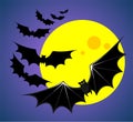 Bats and moon