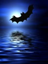 Bats over the water