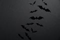 Bats silhouettes on black background. Happy Halloween holiday concept