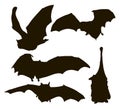 Bats, silhouettes. Graphics, contours. Vector.