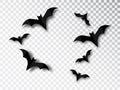 Bats silhouettes solated on transparent background. Halloween traditional design element. Vector vampire bat set