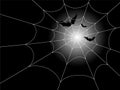 Bats and Spiderweb in the Moonlight