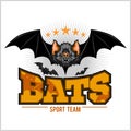 Bats - sport team.