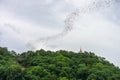 Bats stream out of the cave on the hill at Wat Khao Chong Phran Royalty Free Stock Photo