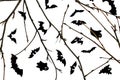 Bats and twigs on a white background for halloween Royalty Free Stock Photo