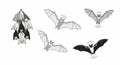 Bats in various poses, including hanging upside down and flying with echolocation waves Royalty Free Stock Photo