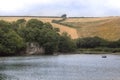 Batson Creek, Devon England Royalty Free Stock Photo