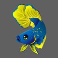 Batta fish sweden flag color vector image.